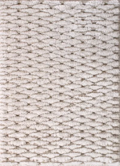 Seashell