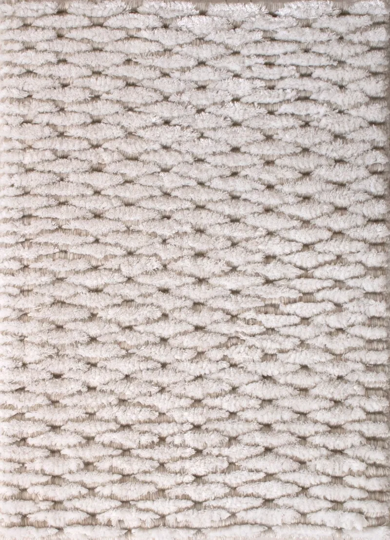 Santa Monica Seashell