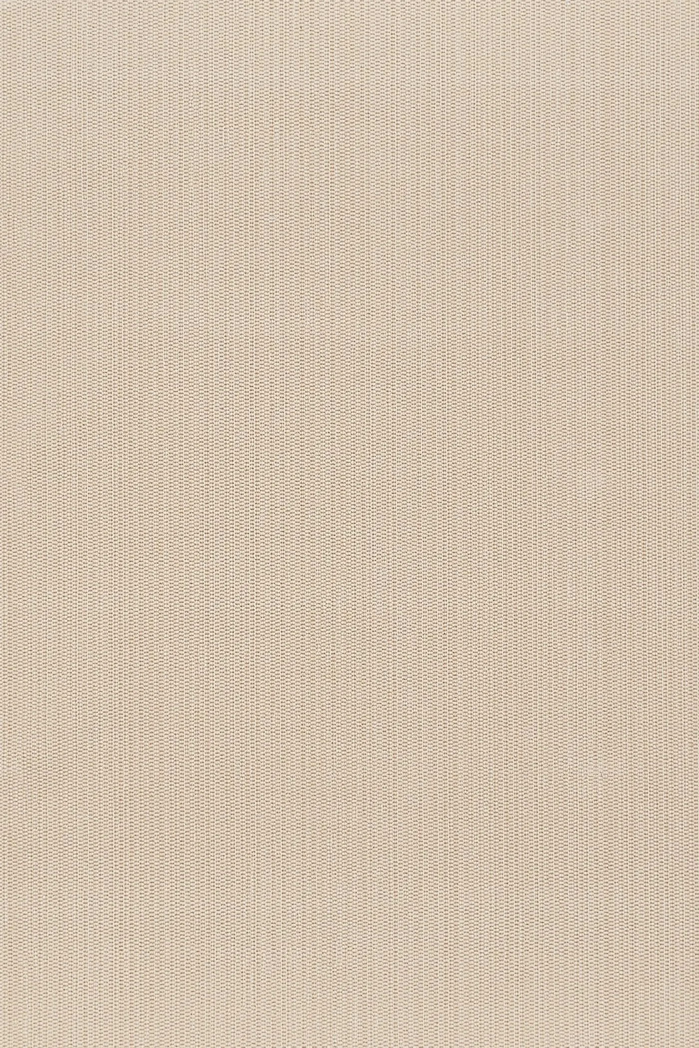 Poetic Driftwood 501