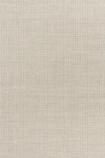 91 Ivory