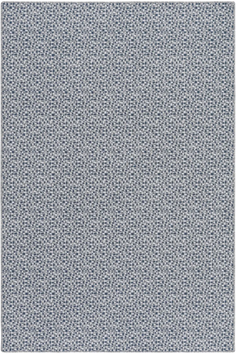 CASIA STEEL DOLPHIN