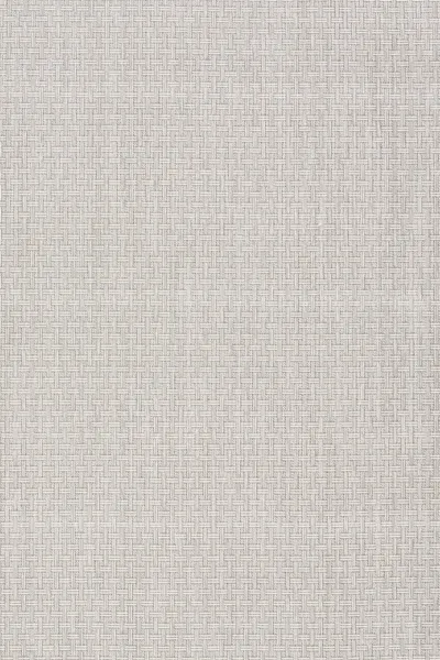 Stone 11