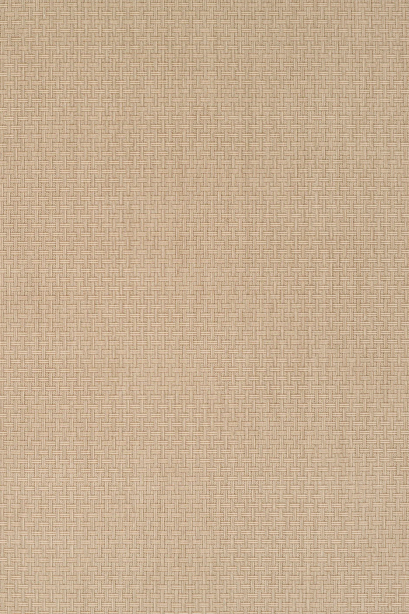 Bangles Bisque