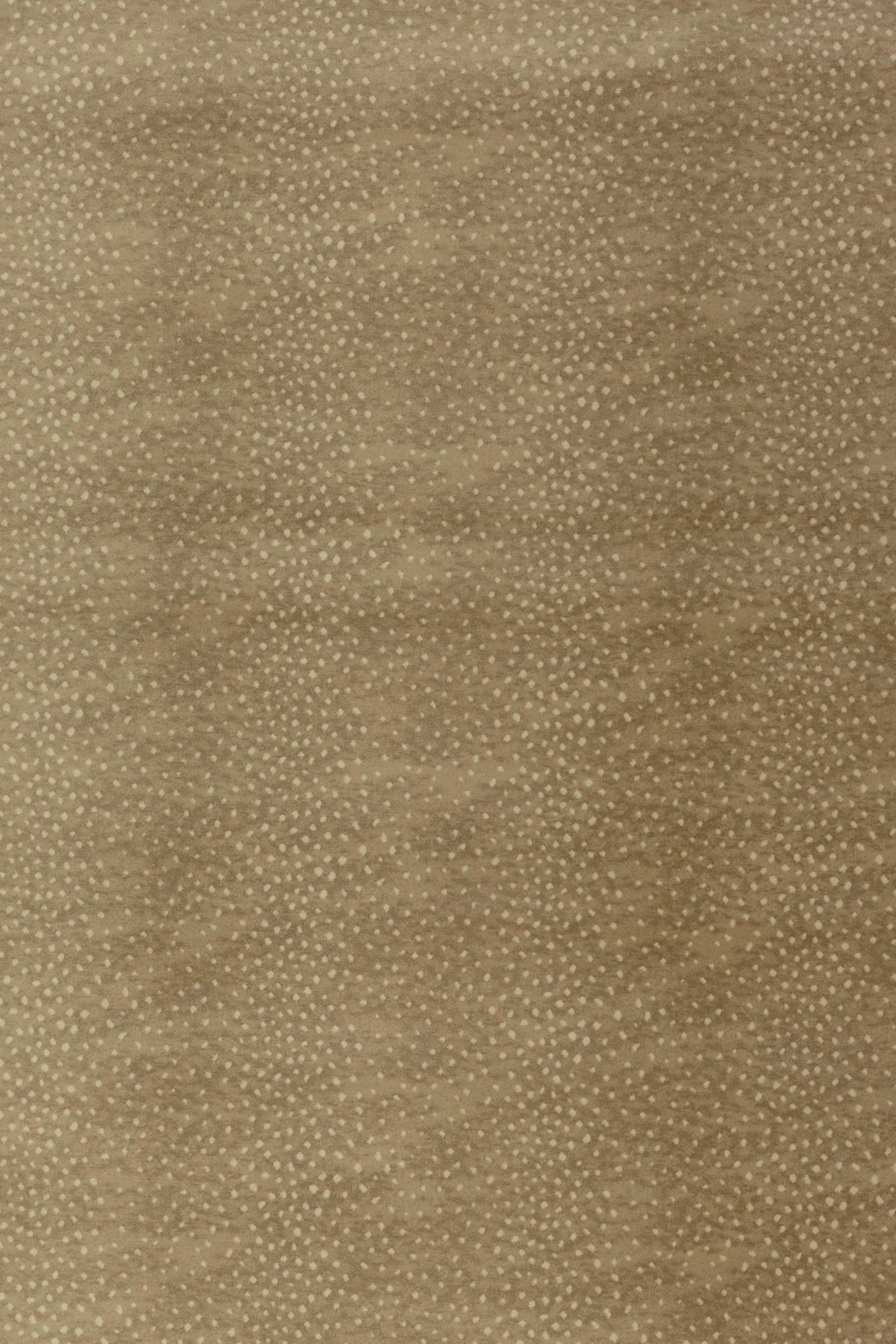 Demish Almond 24