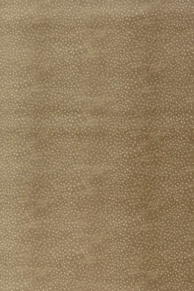 Almond 24