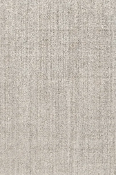 Fossil