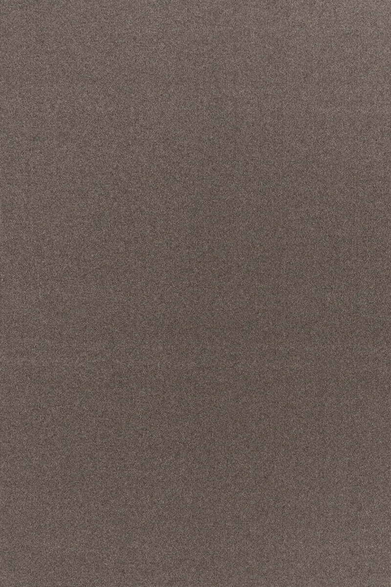 Equality Steam Coal