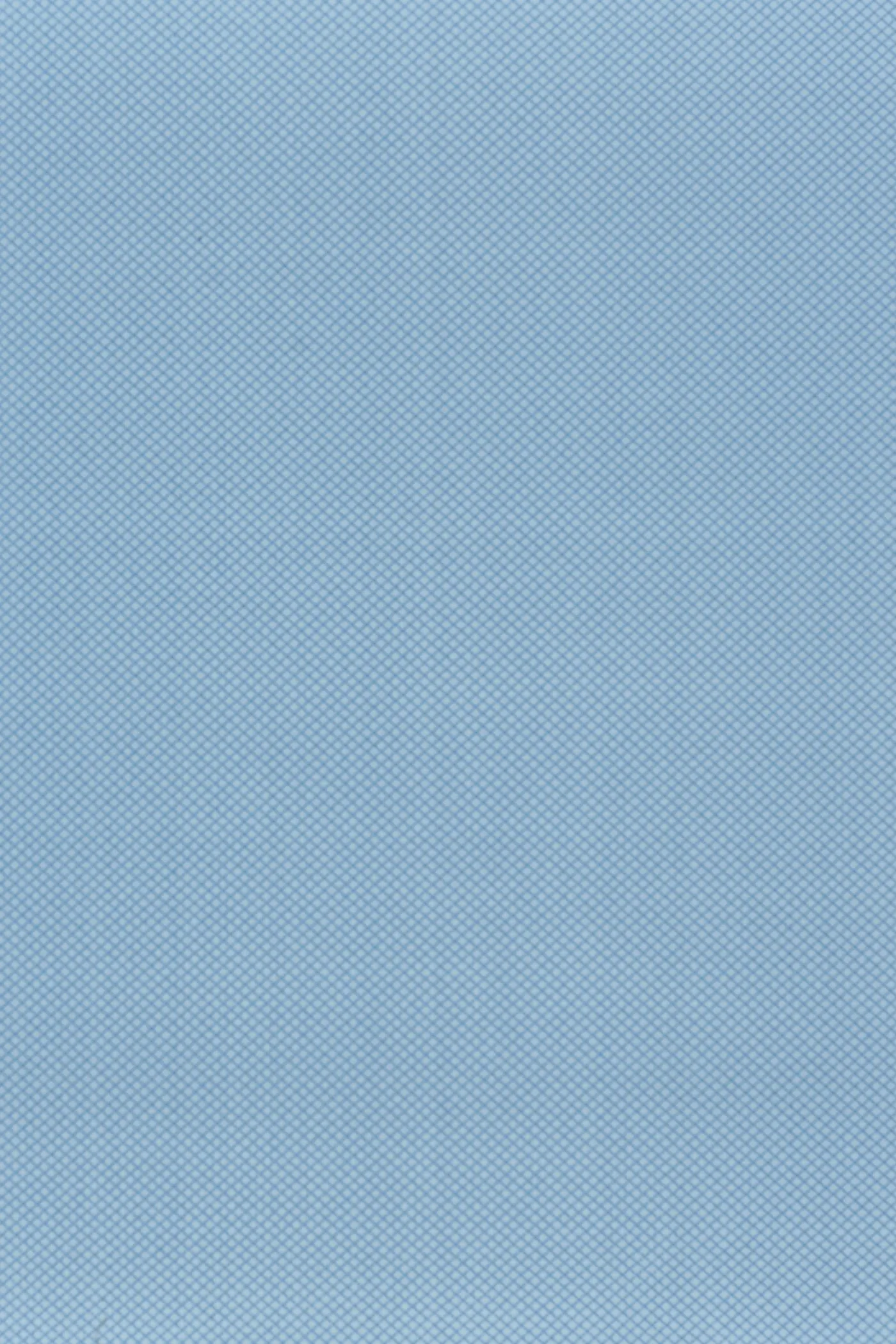 Erica 906 French Blue