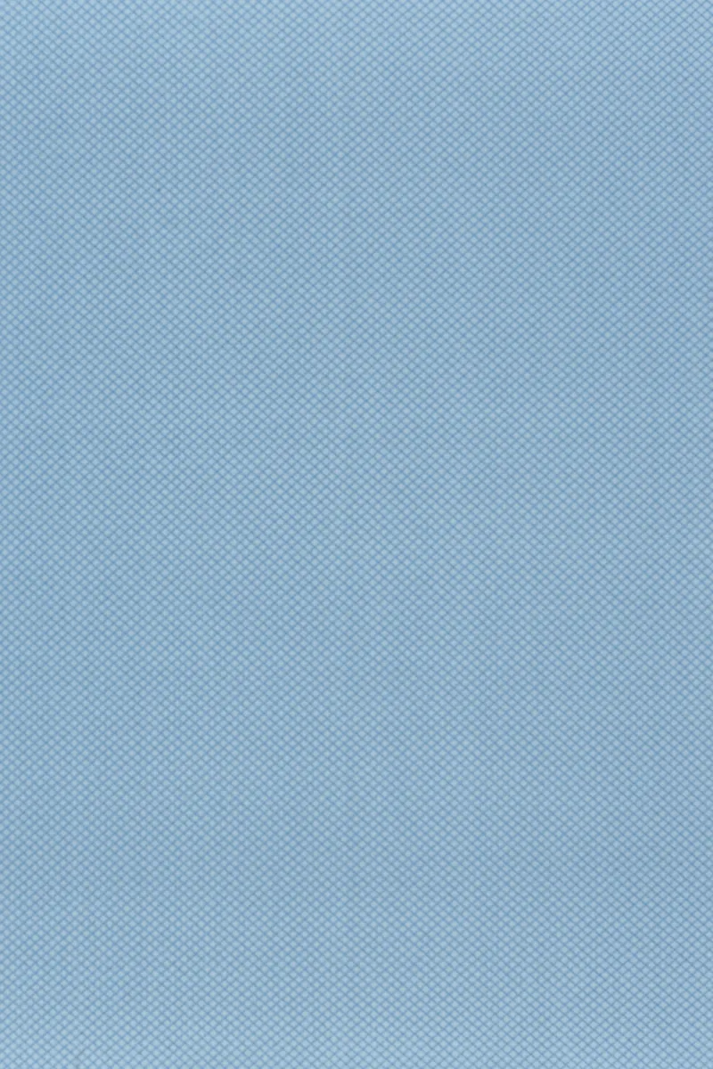 Erica 906 French Blue