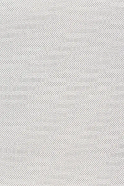 FRENCH BLUE/WHITE