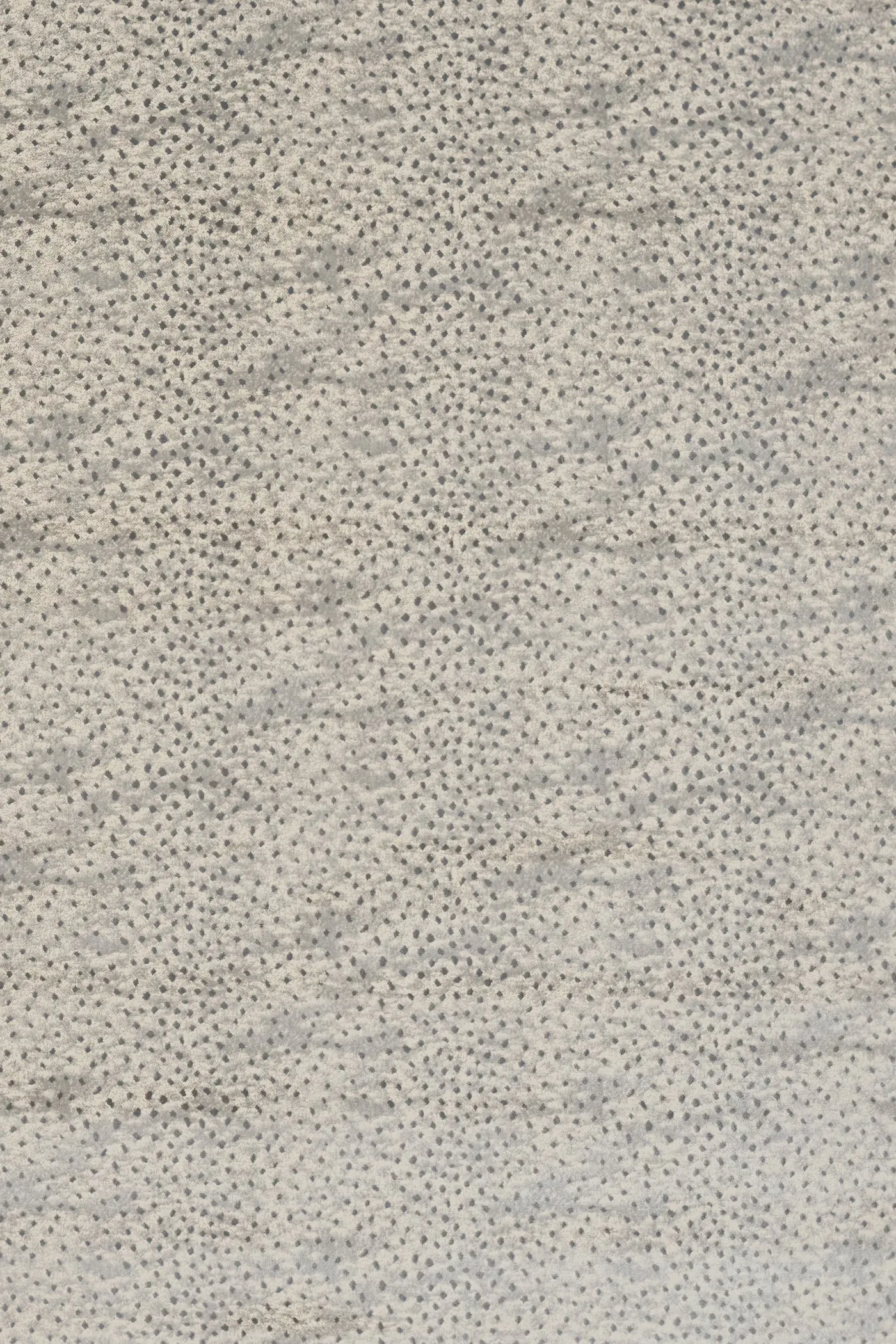 Remedio Graphite 21