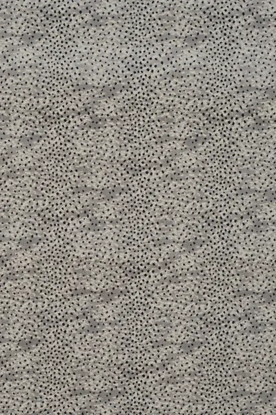 Greyscale 22
