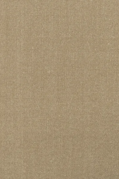 Hazelnut 20