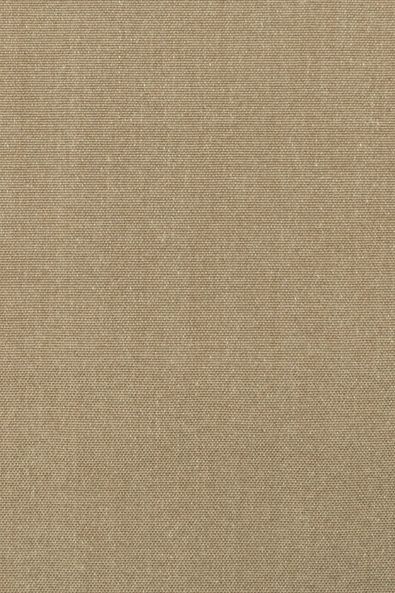 Pennhandle Hazelnut 20