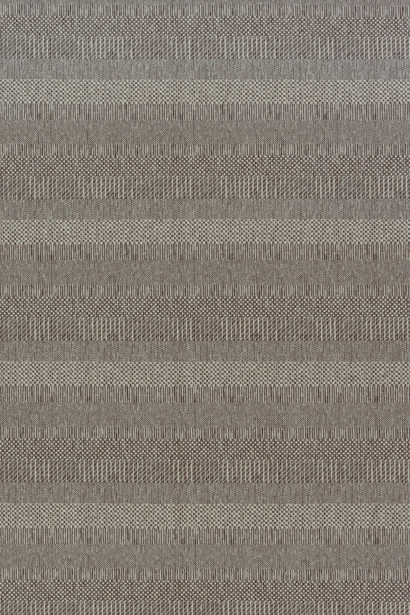 Harriet Graphite 6