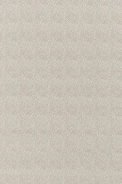 Pearl/Dove 56