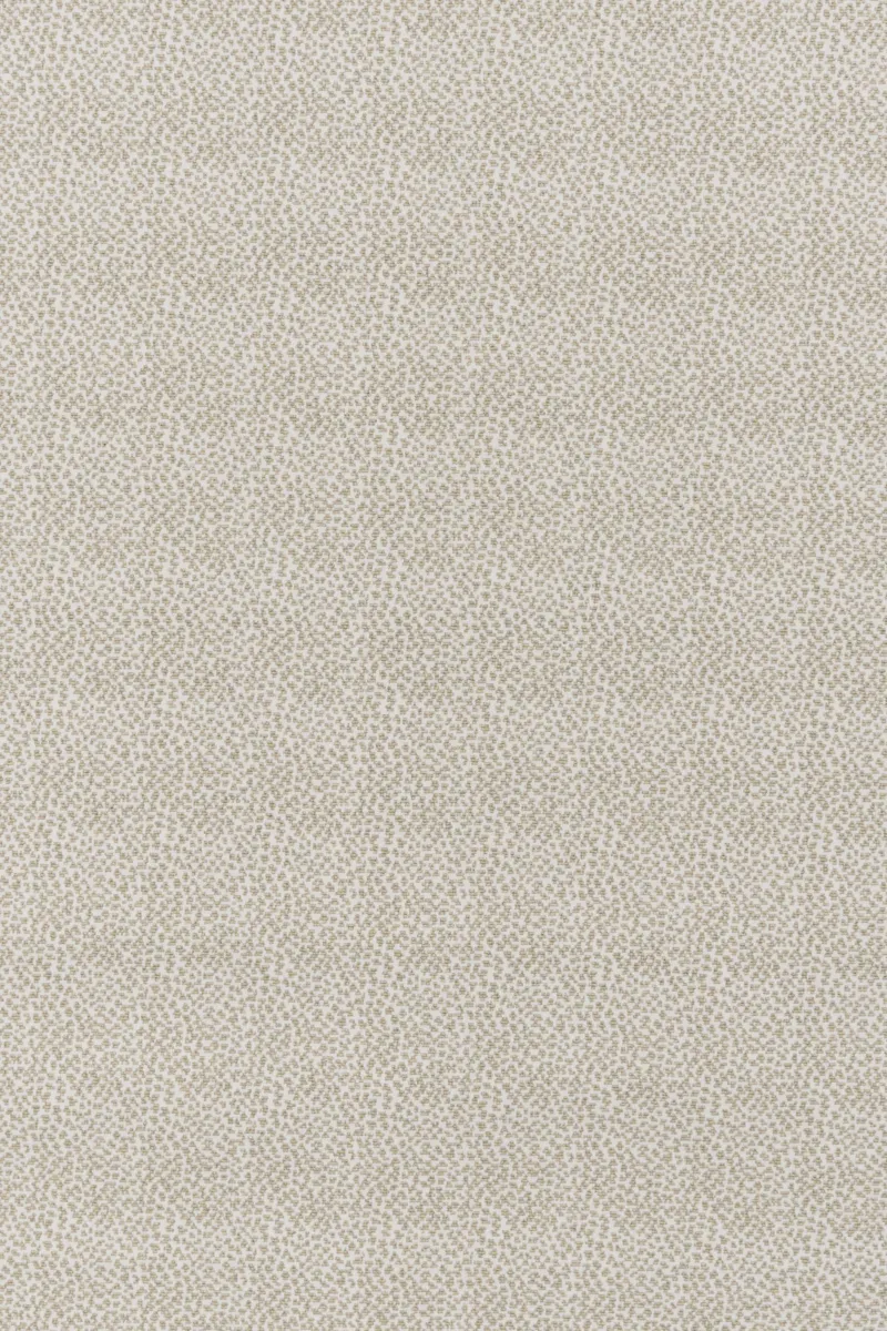 Cera Pearl/Dove 56