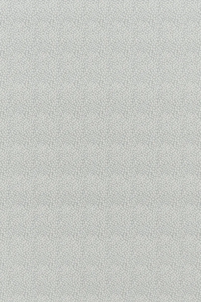 Capsali Steel
