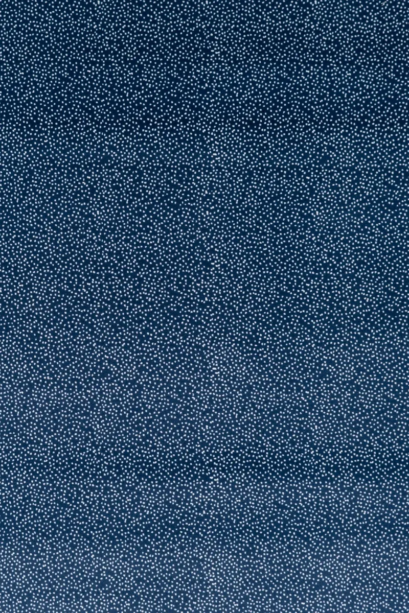 FRECKLE FACE CELESTIAL BLUE 851