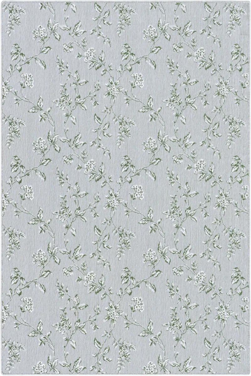 Tolentino Sage/Hunter 62
