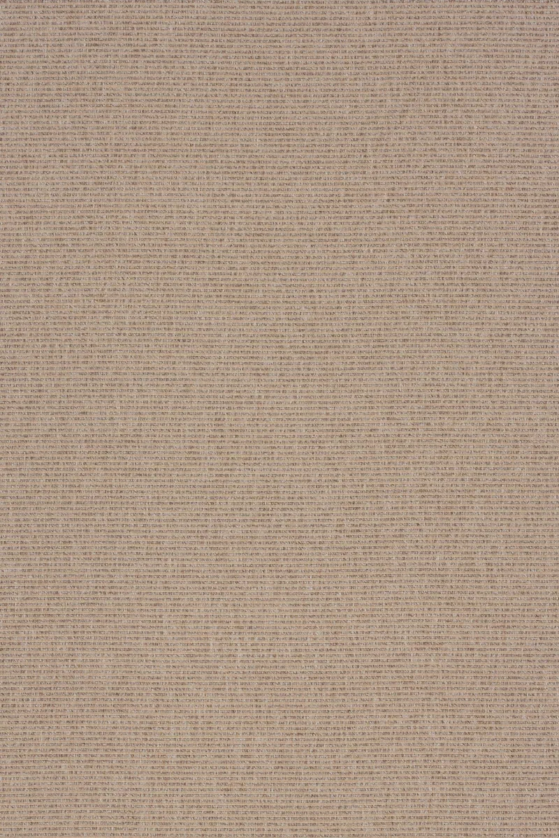 Arlo Bronze