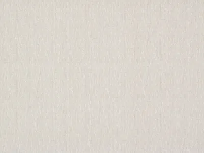Seashell 100