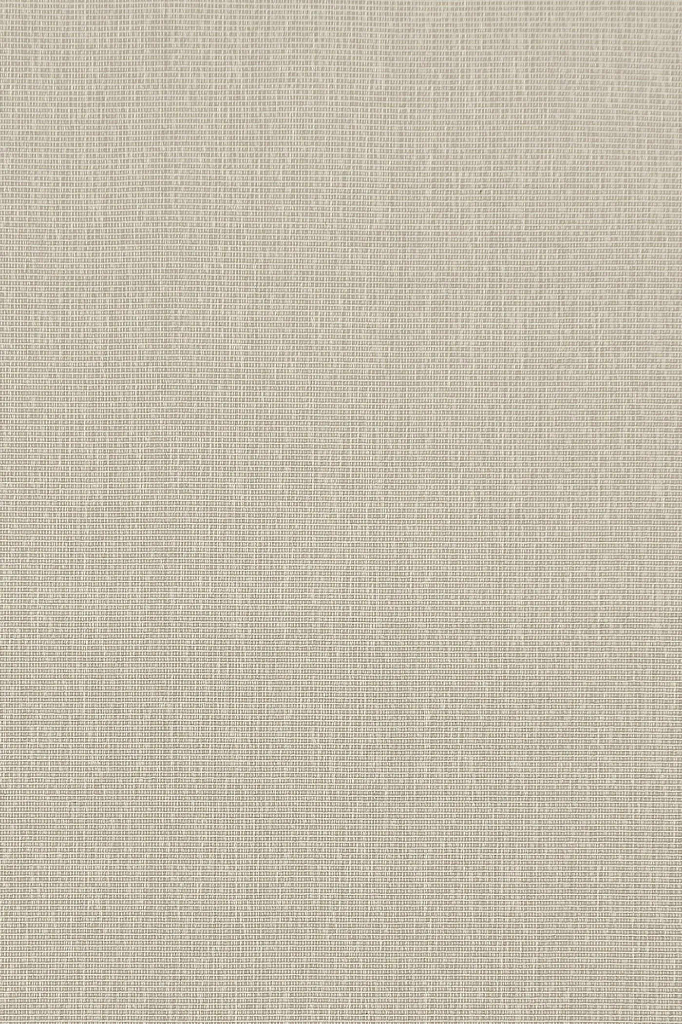 Countess/Bonn Farro 60
