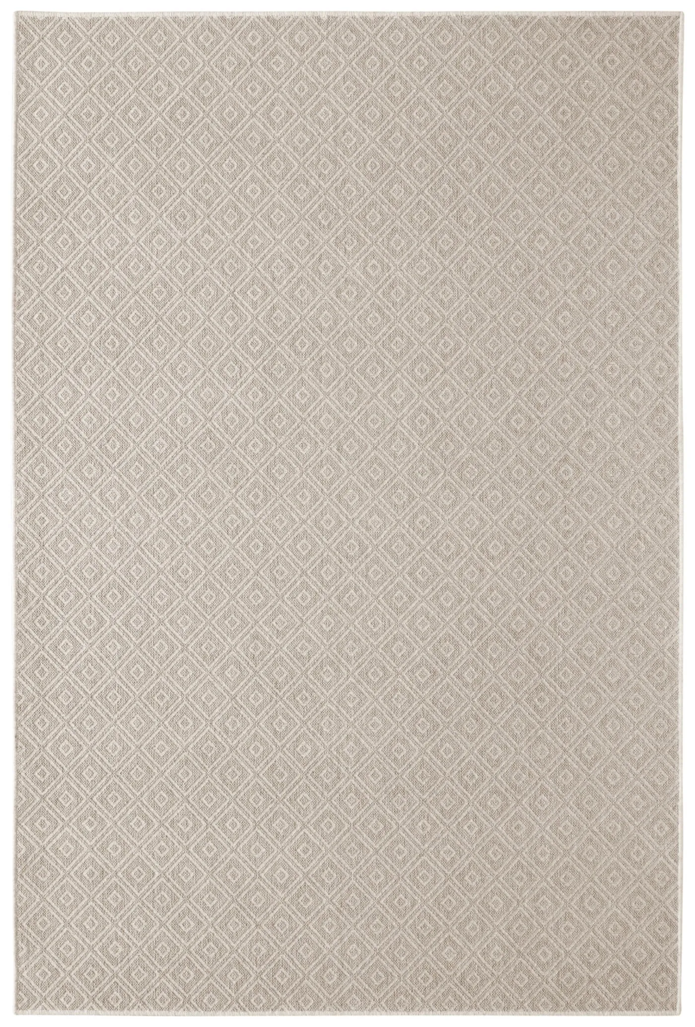Dubi Fossil 46