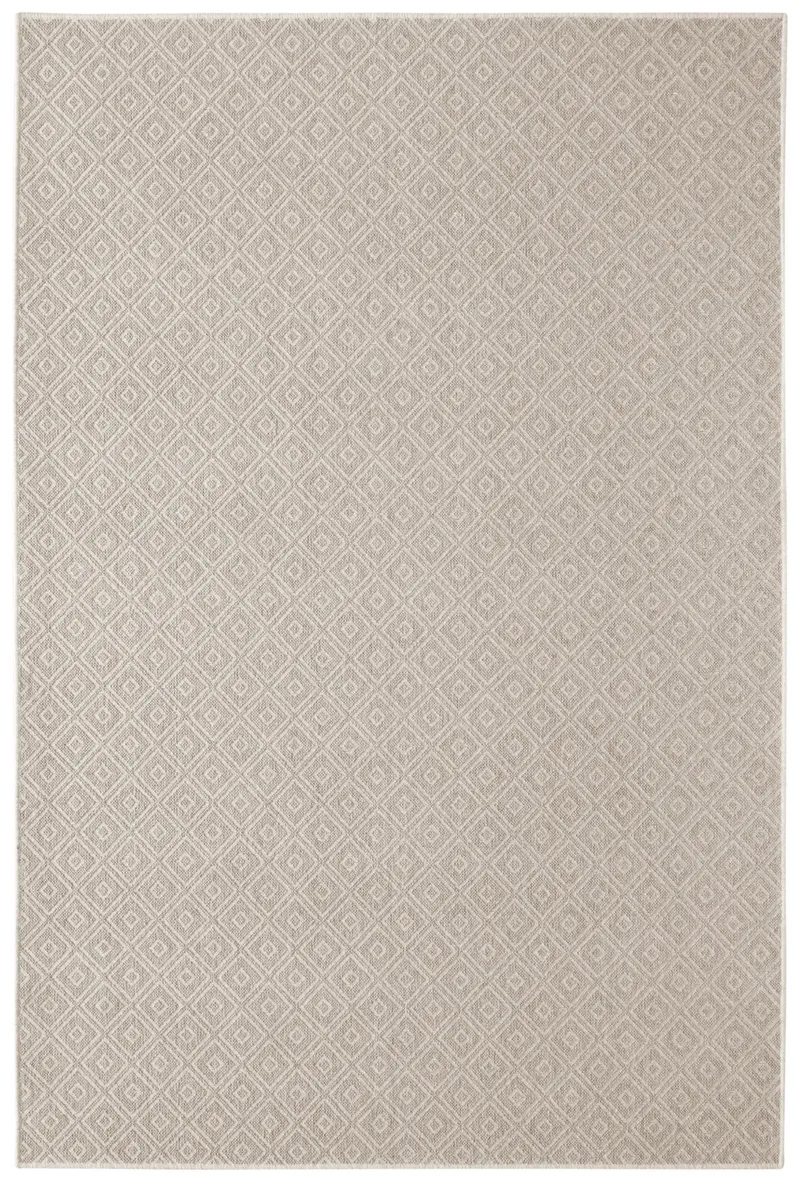 Dubi Fossil 46