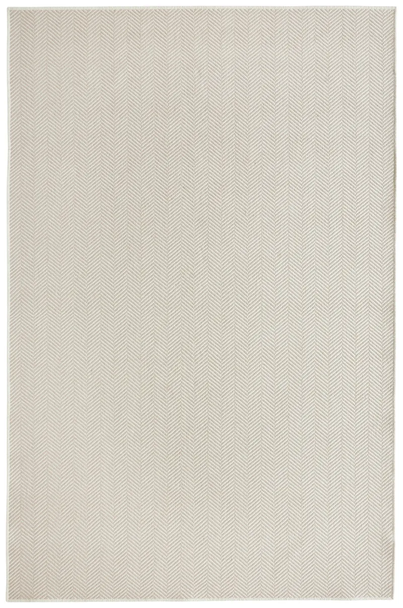Everdeen Fossil 53