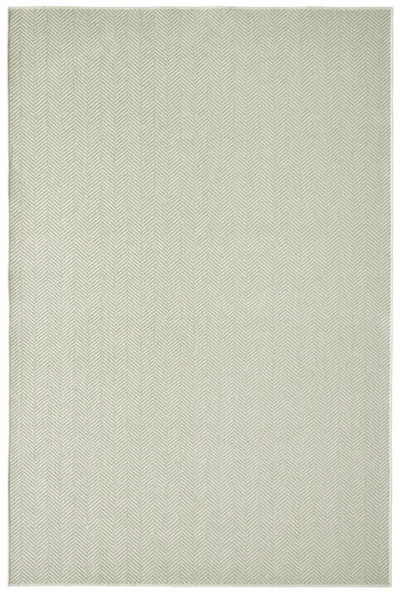 Sage 55
