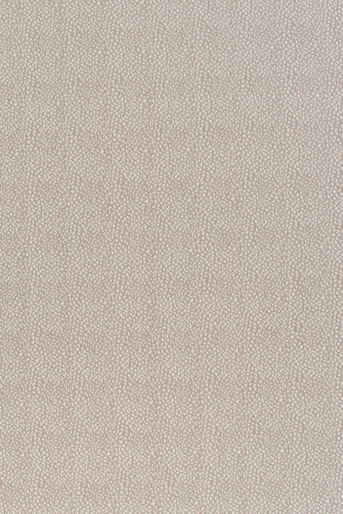 Monogram Mocha 291