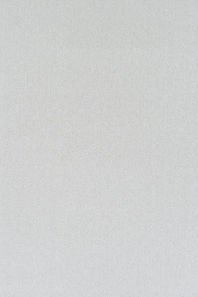 Steel 55