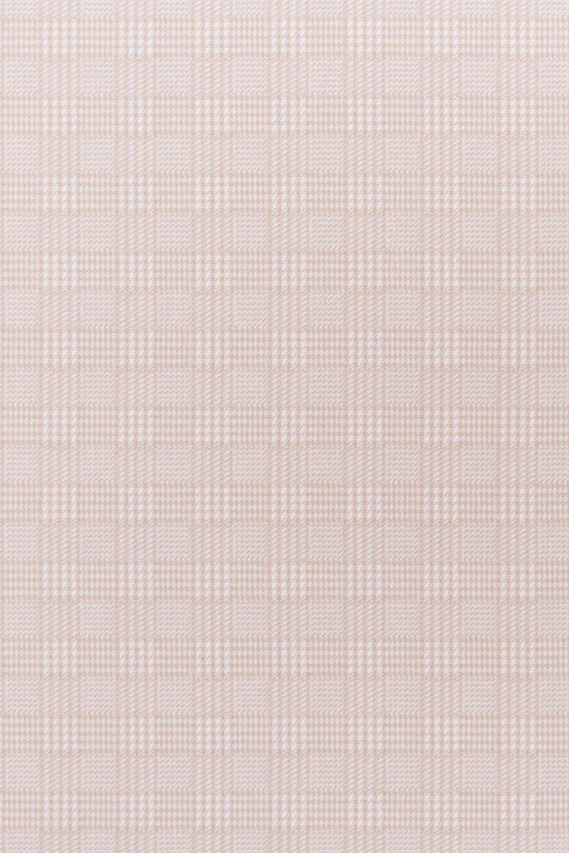 Miss Honey Carnation