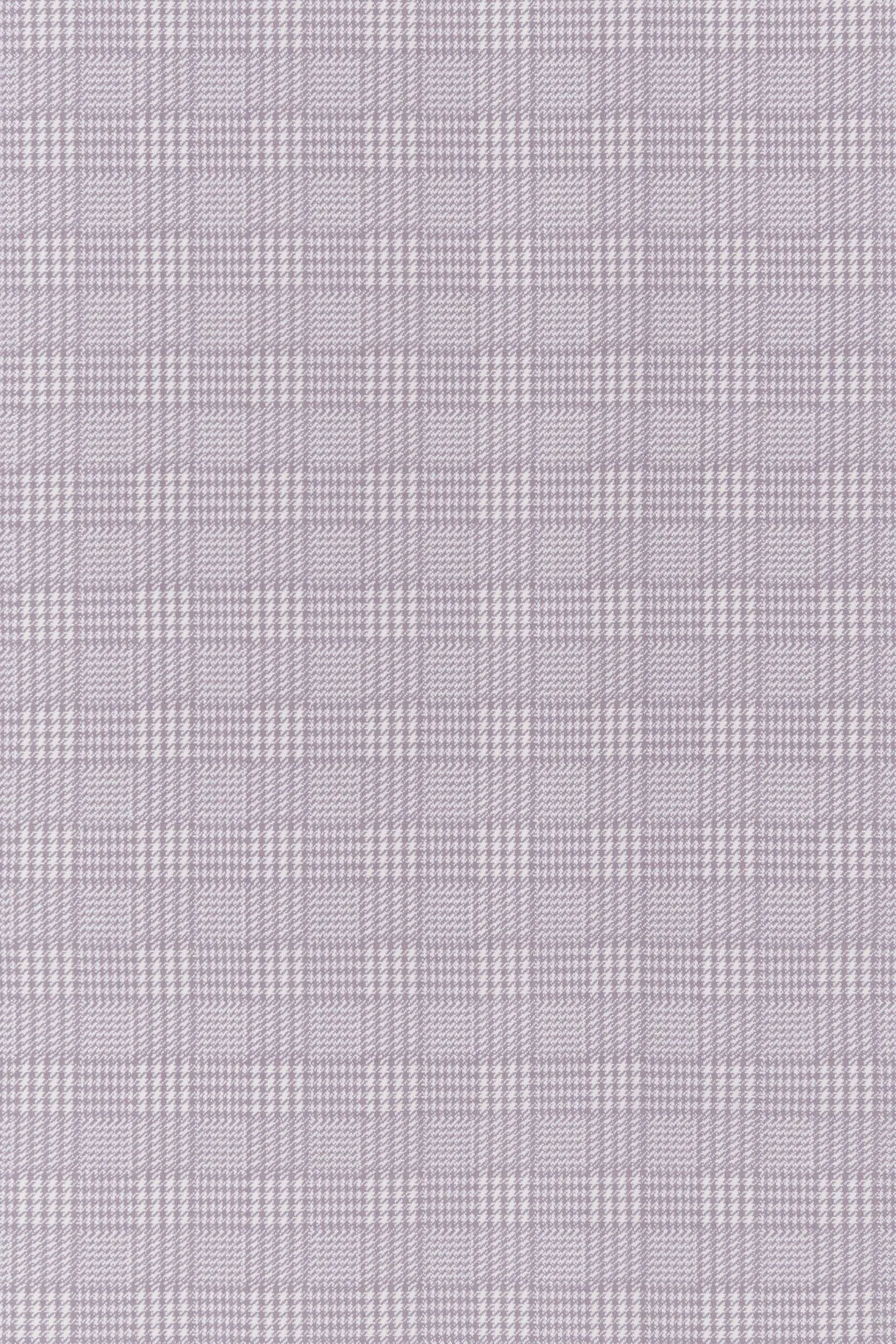 Miss Honey Lilac