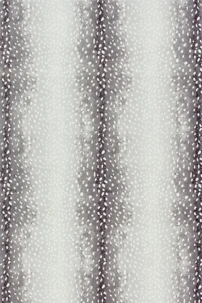 Fog