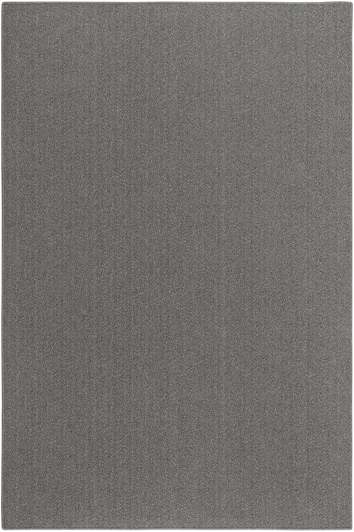 Dandi Metallic 8