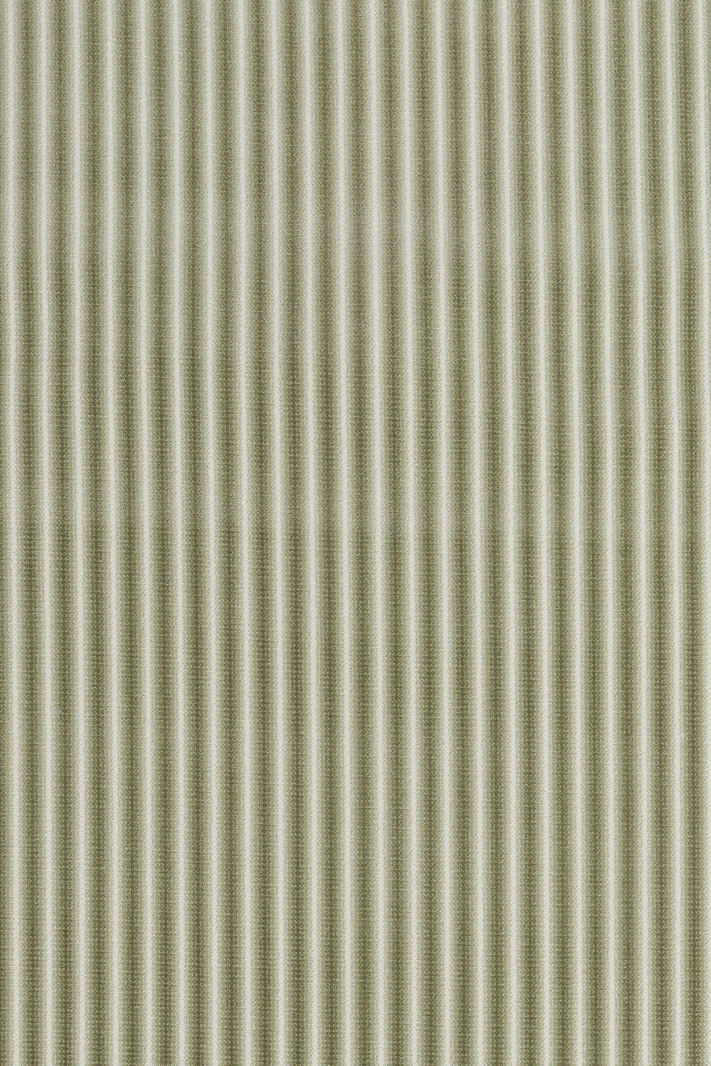 Safira Fern