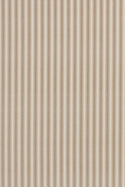 Sahara