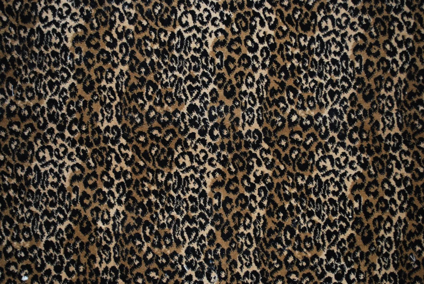 SAFARI NATURAL