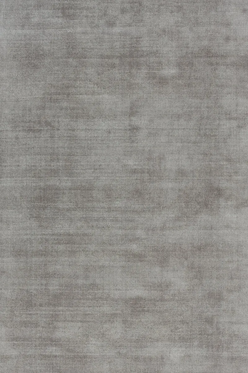 Callista Steel