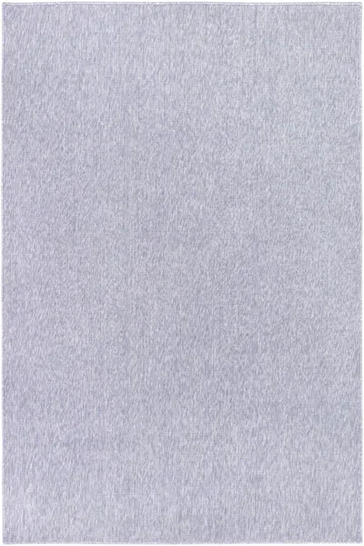 Steel
