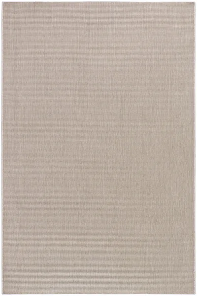 Birch