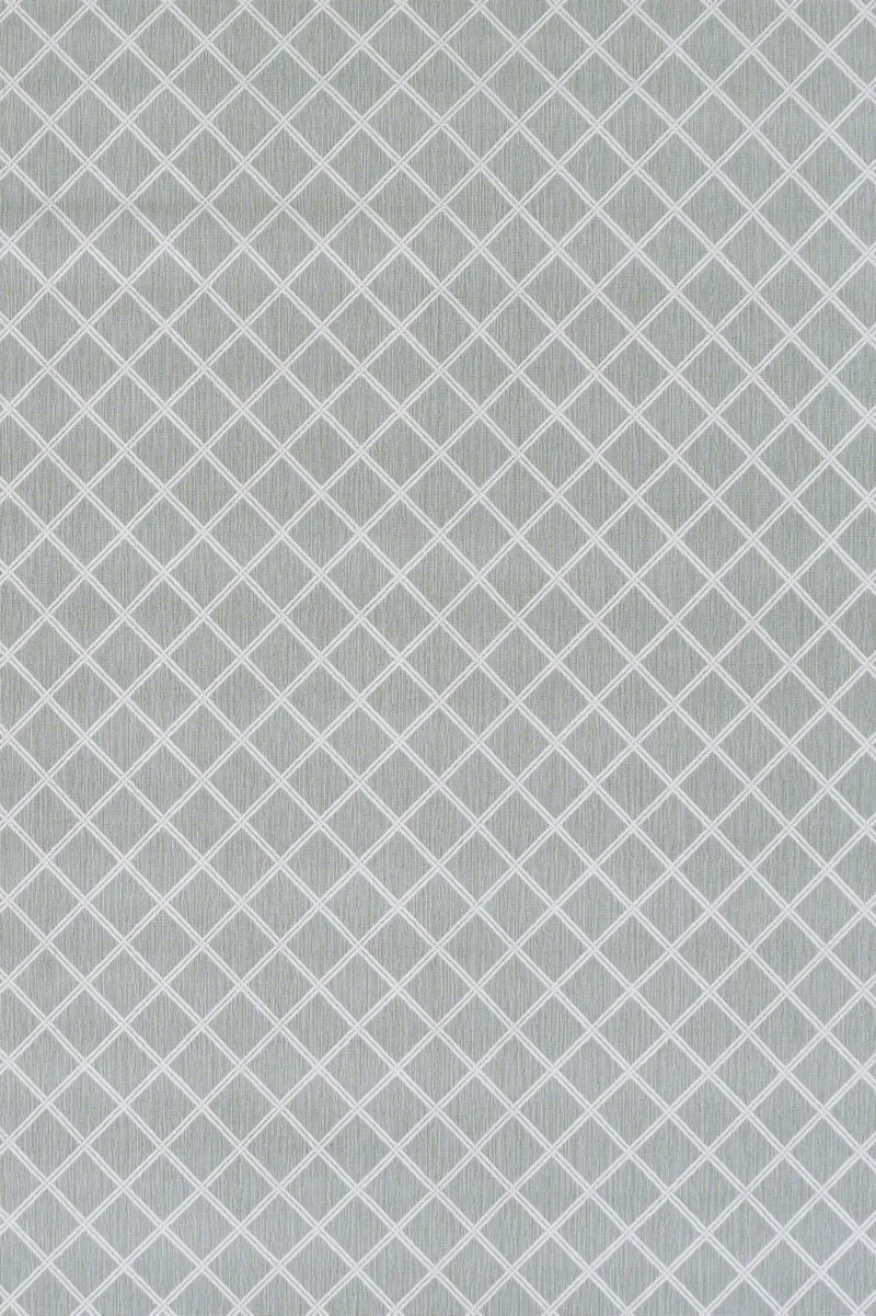Neutral Steel 49