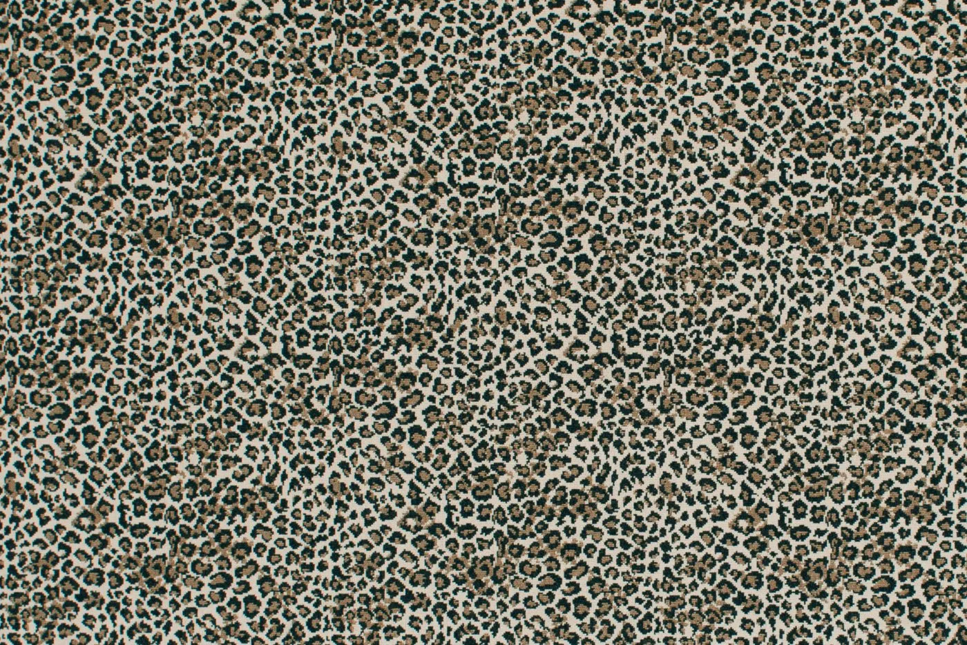 Untamed Sahara
