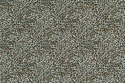 Sahara