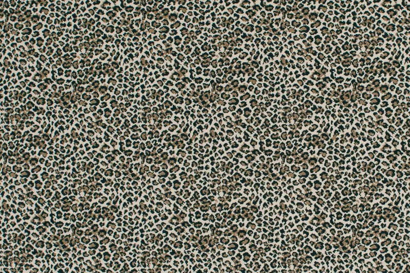 Untamed Sahara