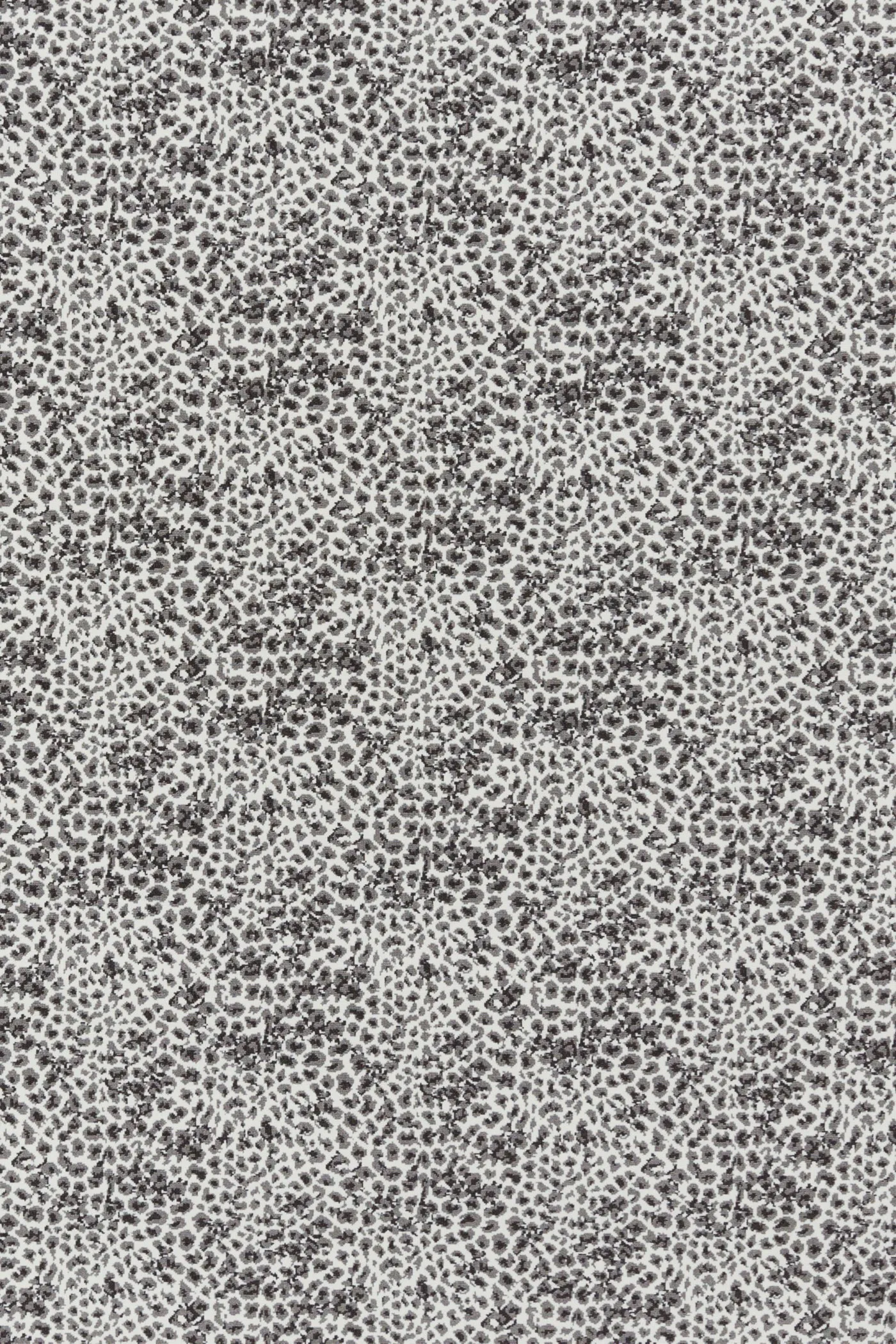 WILDLIFE II GUNMETAL