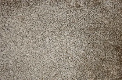 Grain