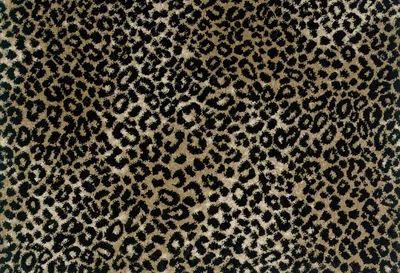 Taupe Black